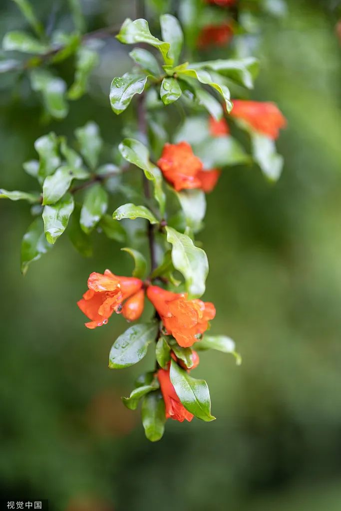 首页| J9九游国际集团中国官方网站